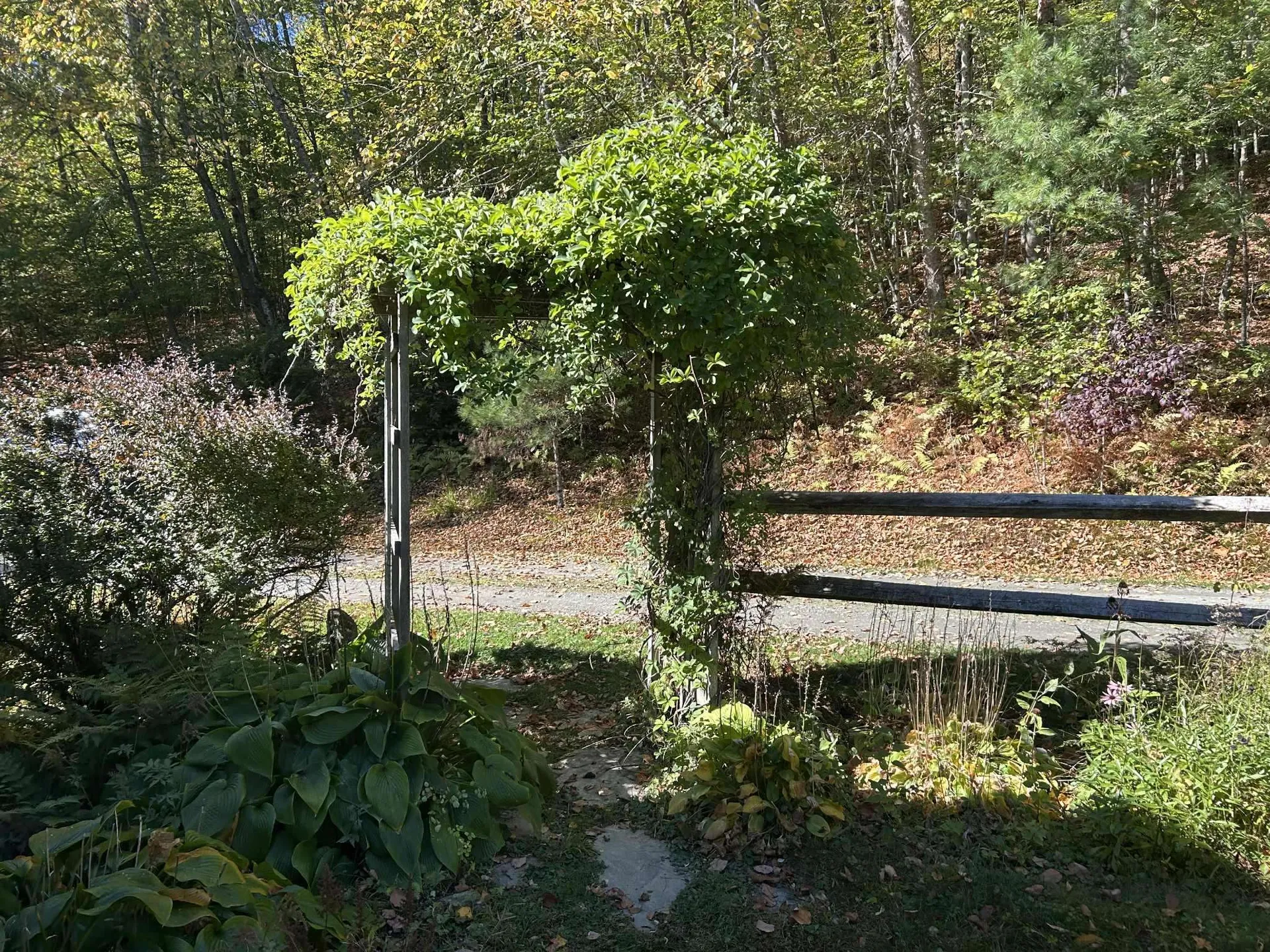 383 Brookline Road Townshend VT 05353