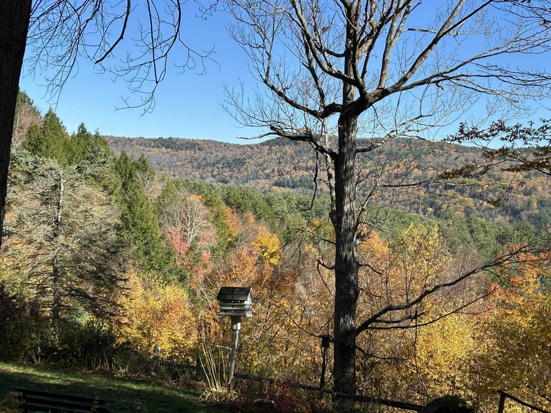 383 Brookline Road Townshend VT 05353