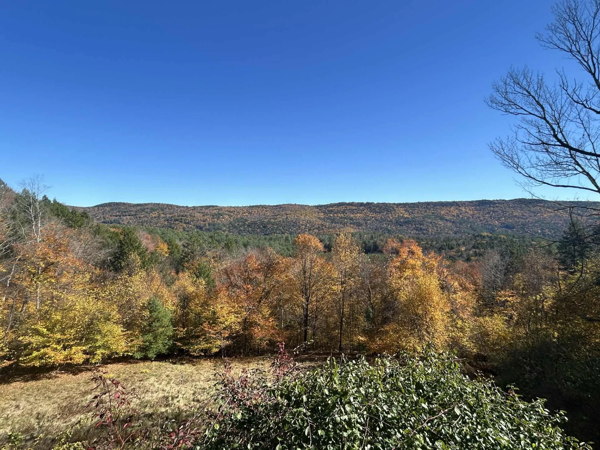 383 Brookline Road Townshend VT 05353