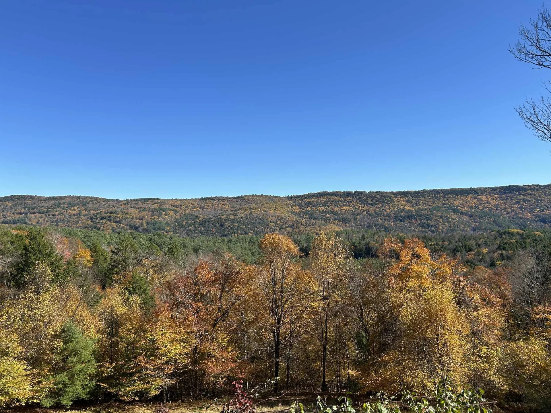 383 Brookline Road Townshend VT 05353