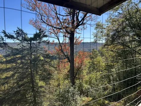 383 Brookline Road Townshend VT 05353