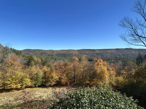 383 Brookline Road Townshend VT 05353