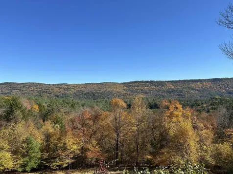 383 Brookline Road Townshend VT 05353