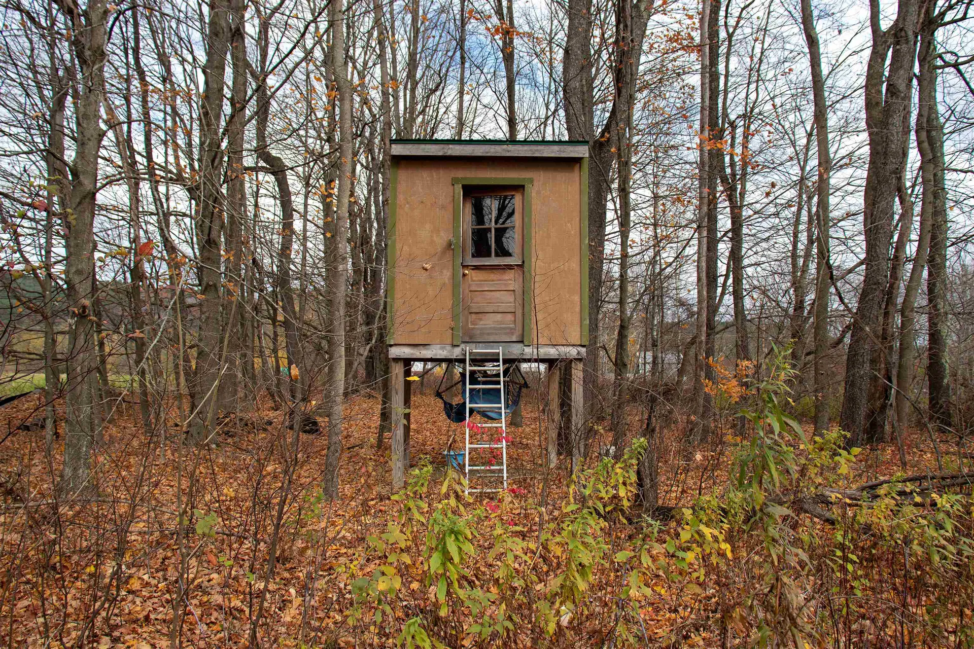 391 Bimson Drive Barnet VT 05821