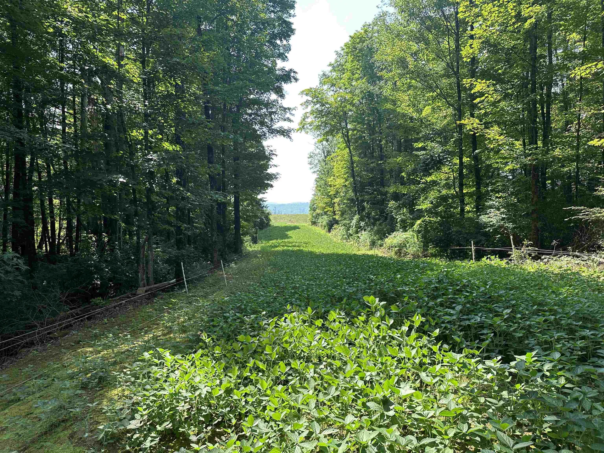 220 Gloria Avenue Rutland Town VT 05701