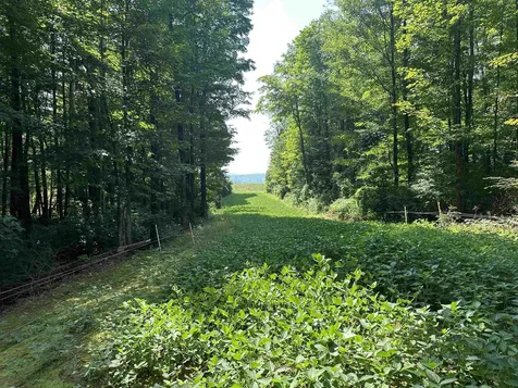 220 Gloria Avenue Rutland Town VT 05701