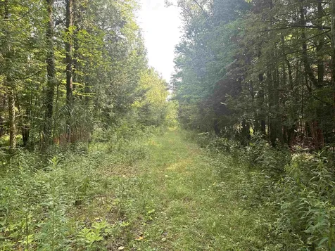 220 Gloria Avenue Rutland Town VT 05701