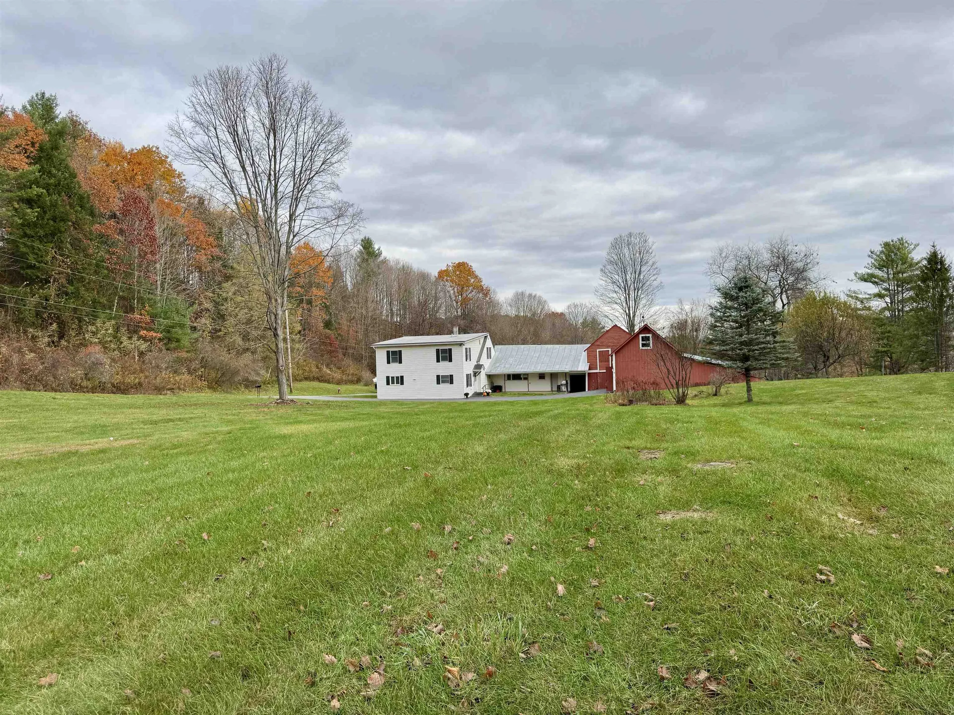 173 Pleasant Street Williamstown VT 05679