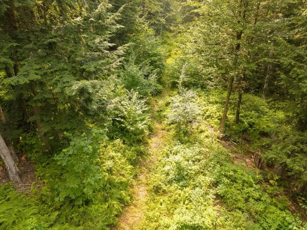 47 Highbridge Road Lyme NH 03768