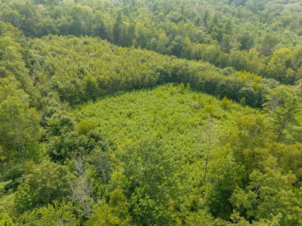 47 Highbridge Road Lyme NH 03768