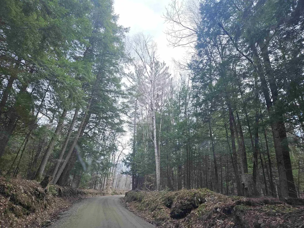 47 Highbridge Road Lyme NH 03768