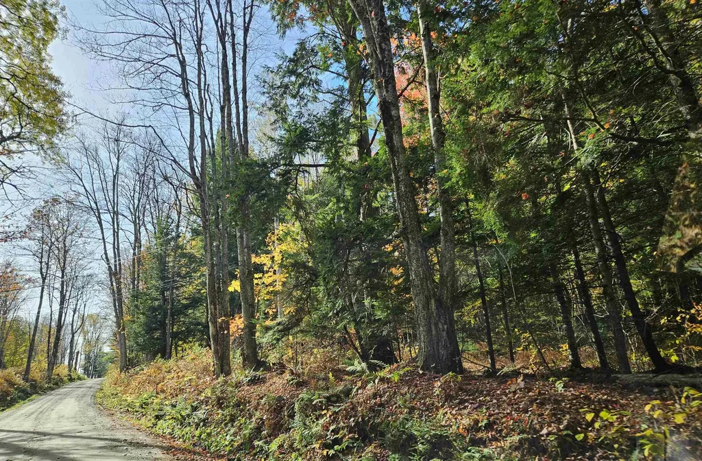 47 Highbridge Road Lyme NH 03768