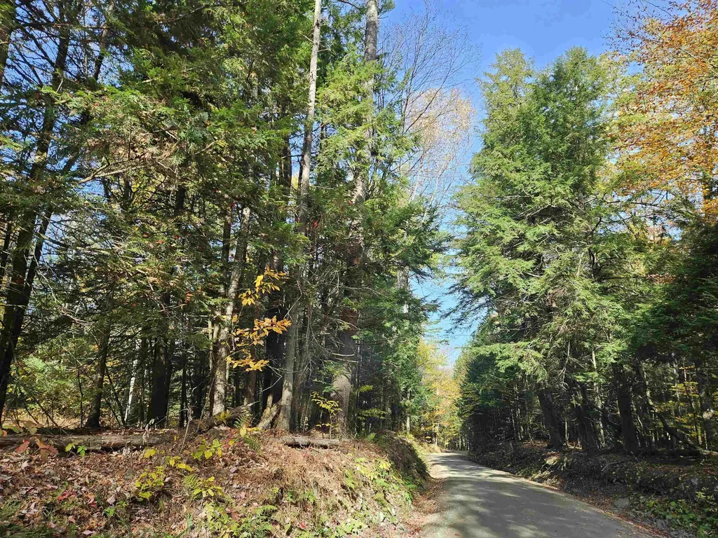 47 Highbridge Road Lyme NH 03768