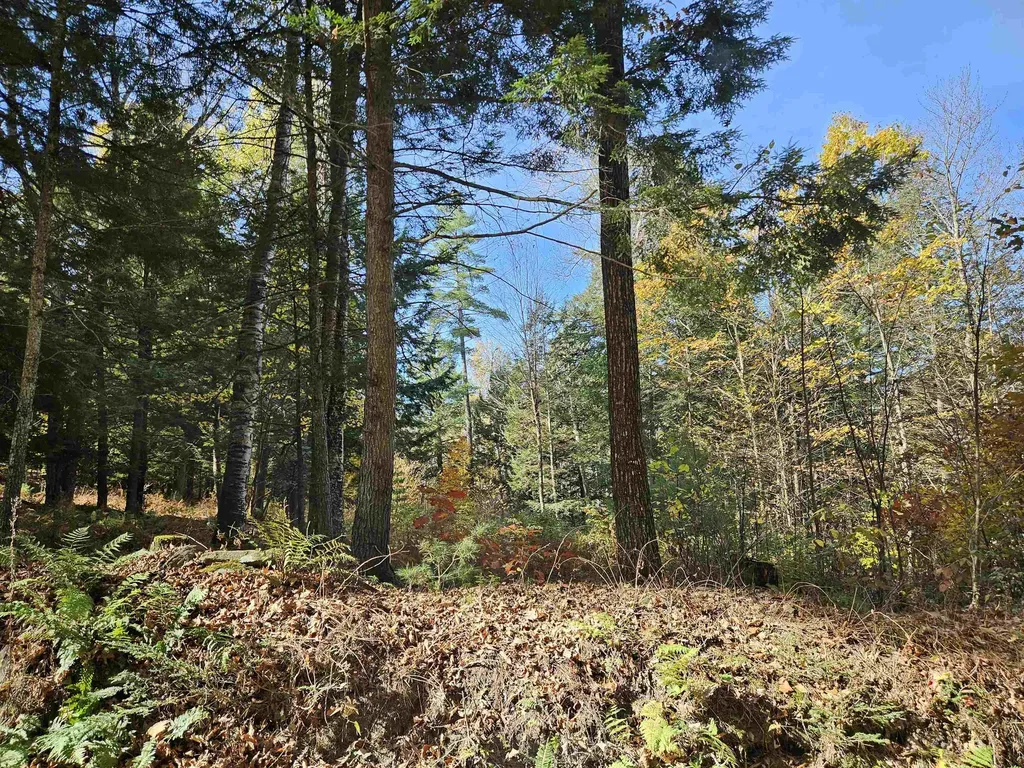 47 Highbridge Road Lyme NH 03768