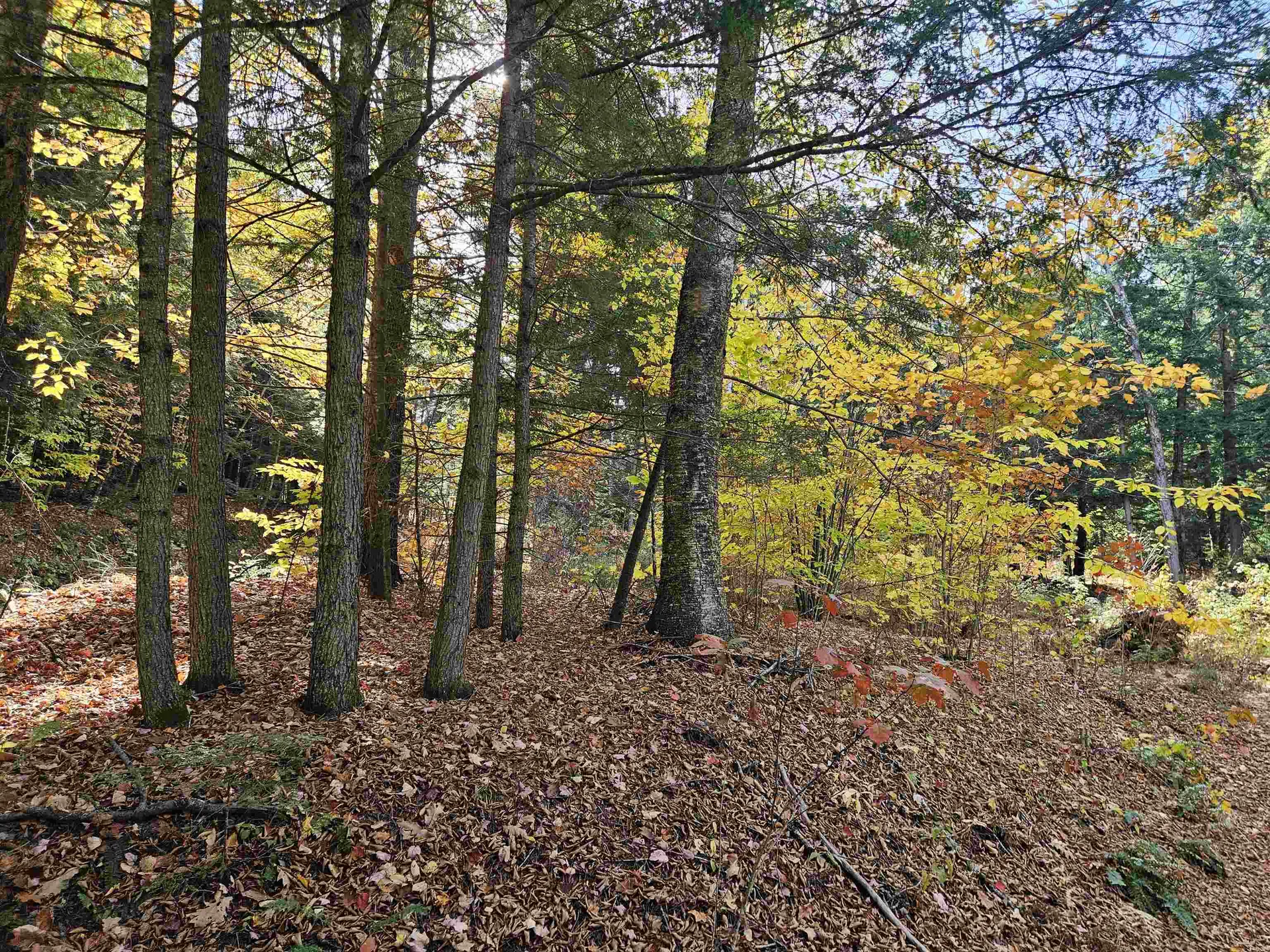 47 Highbridge Road Lyme NH 03768