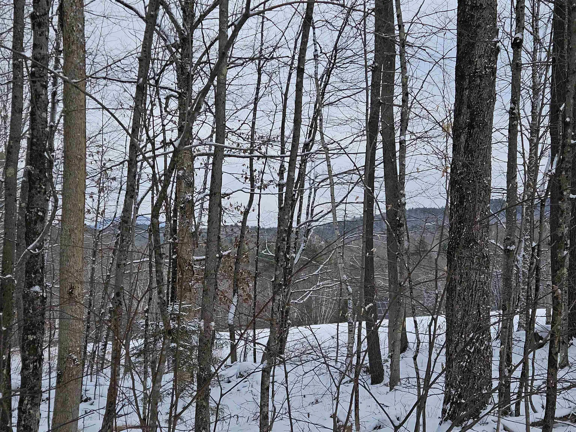 47 Highbridge Road Lyme NH 03768