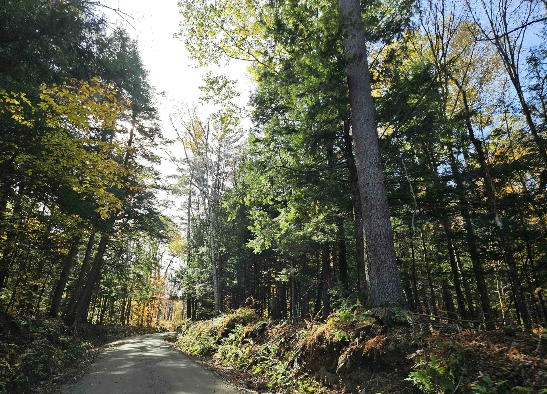 47 Highbridge Road Lyme NH 03768