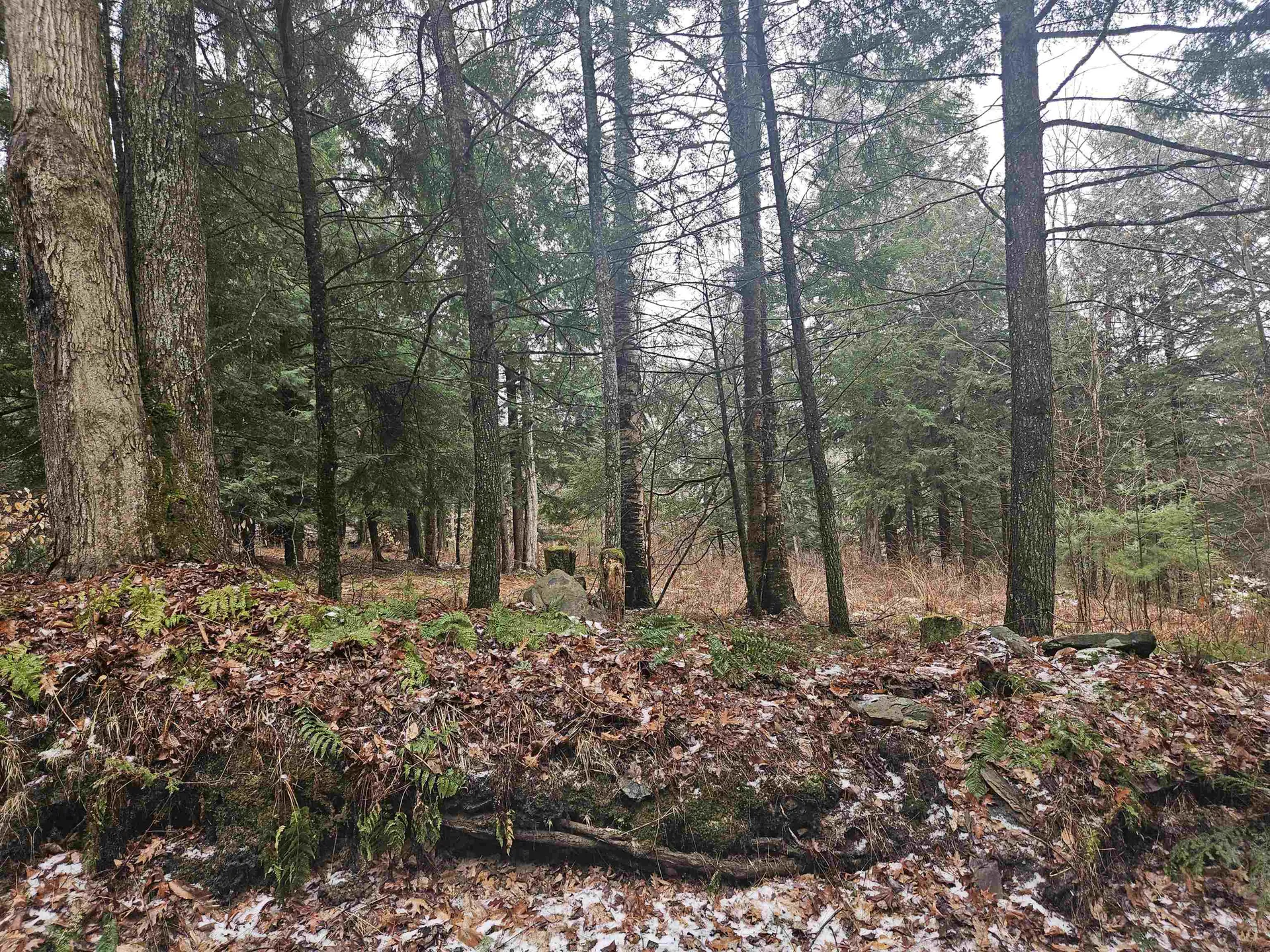 47 Highbridge Road Lyme NH 03768