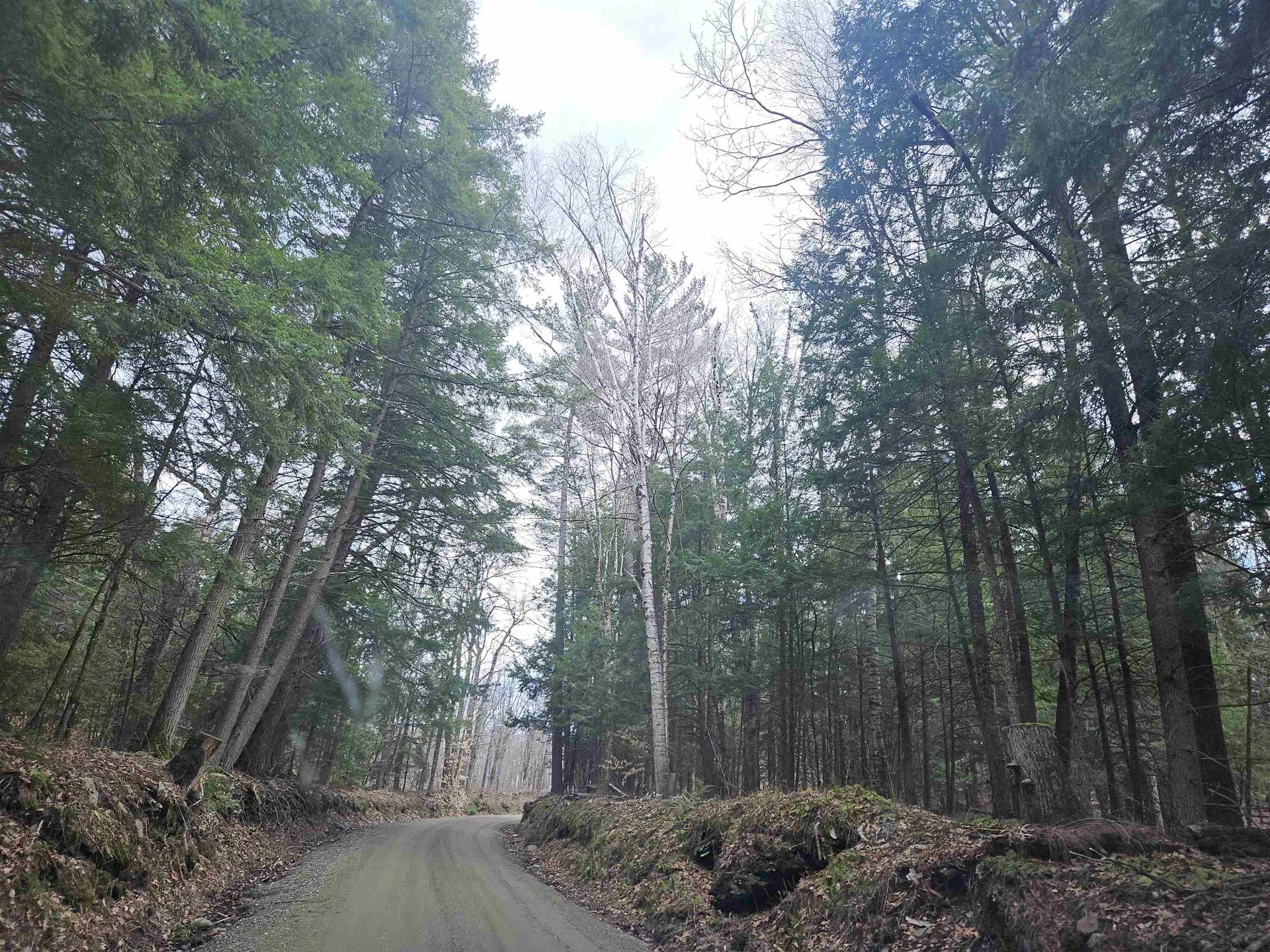 47 Highbridge Road Lyme NH 03768