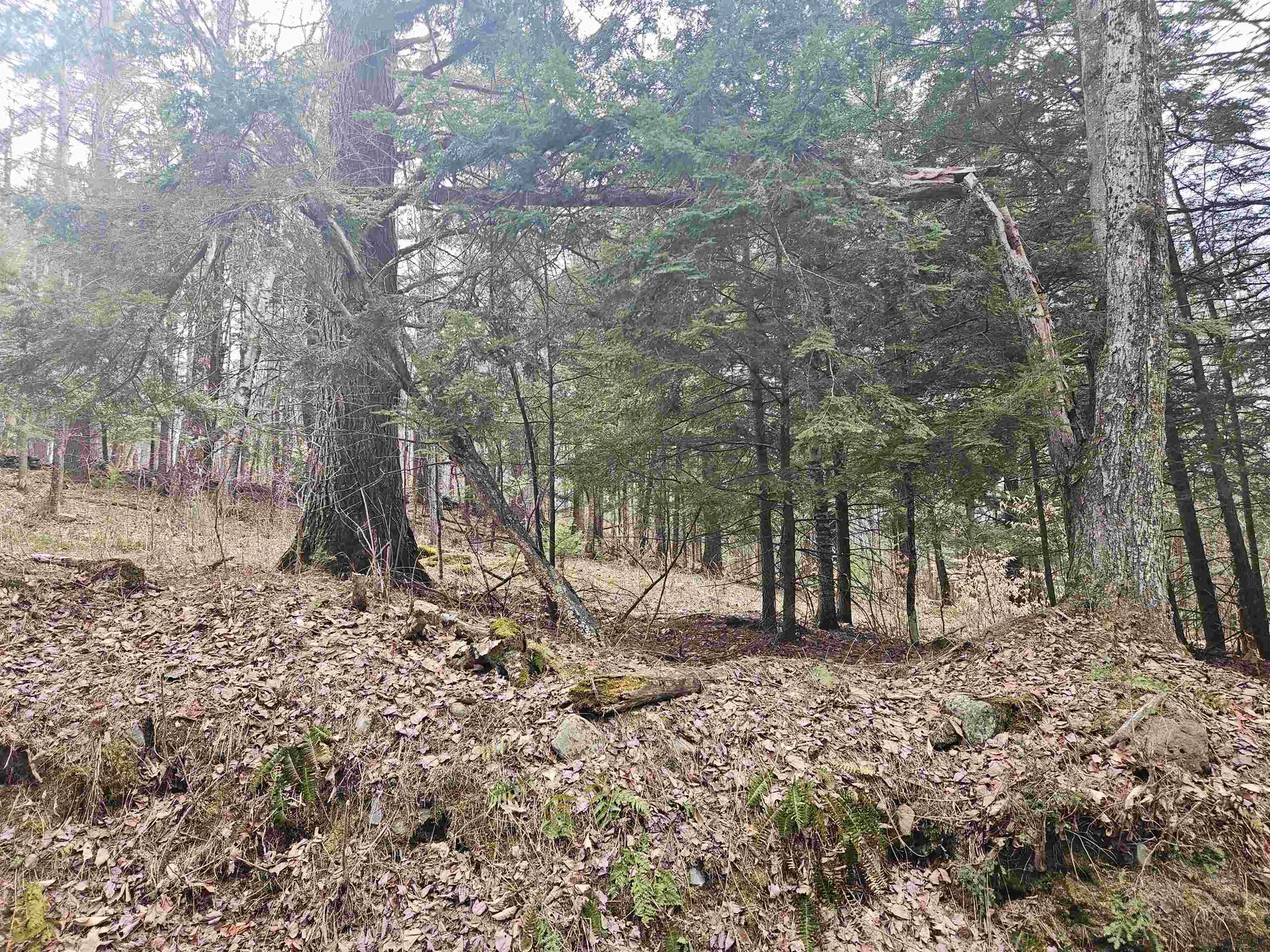 47 Highbridge Road Lyme NH 03768