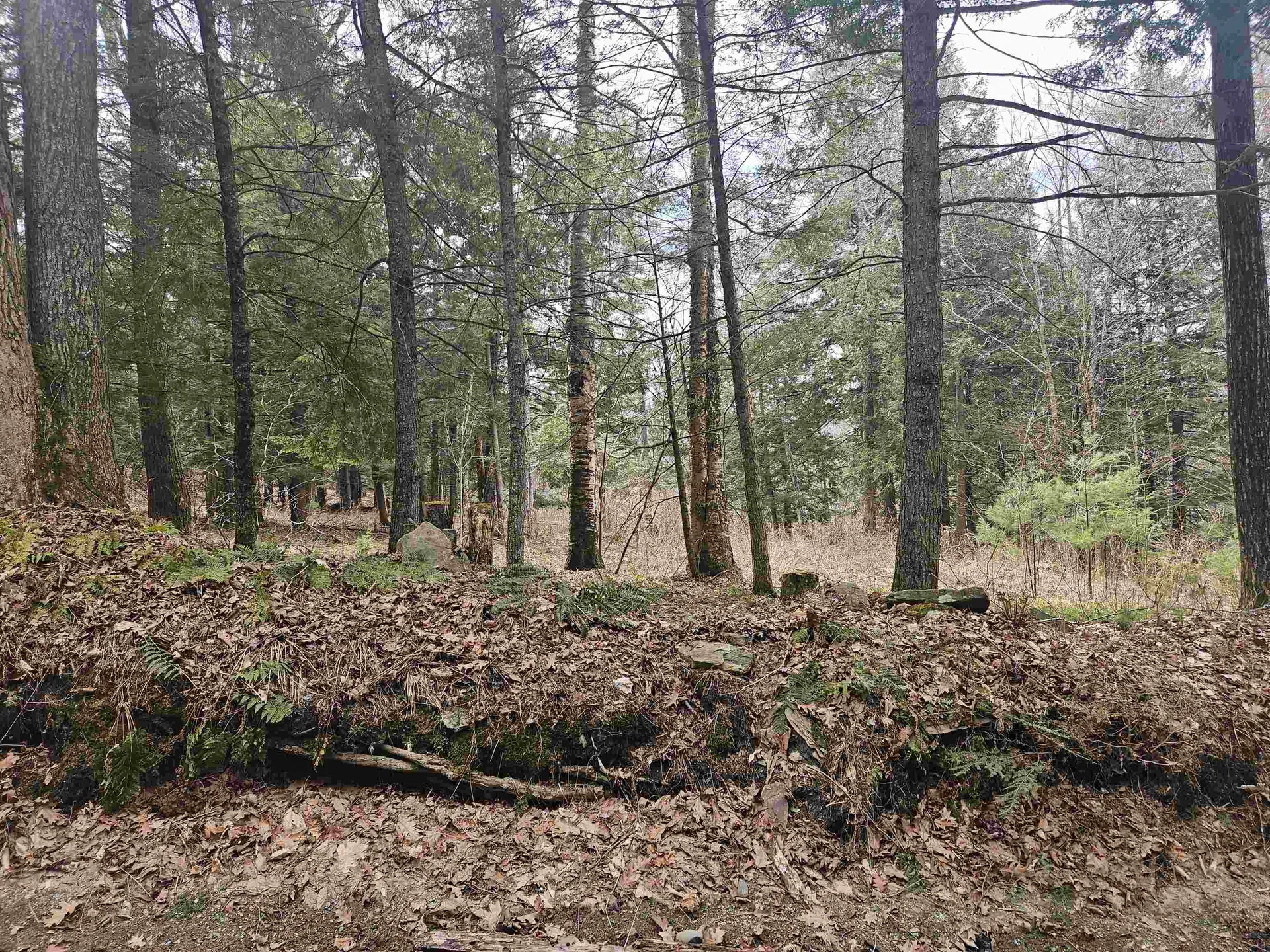 47 Highbridge Road Lyme NH 03768