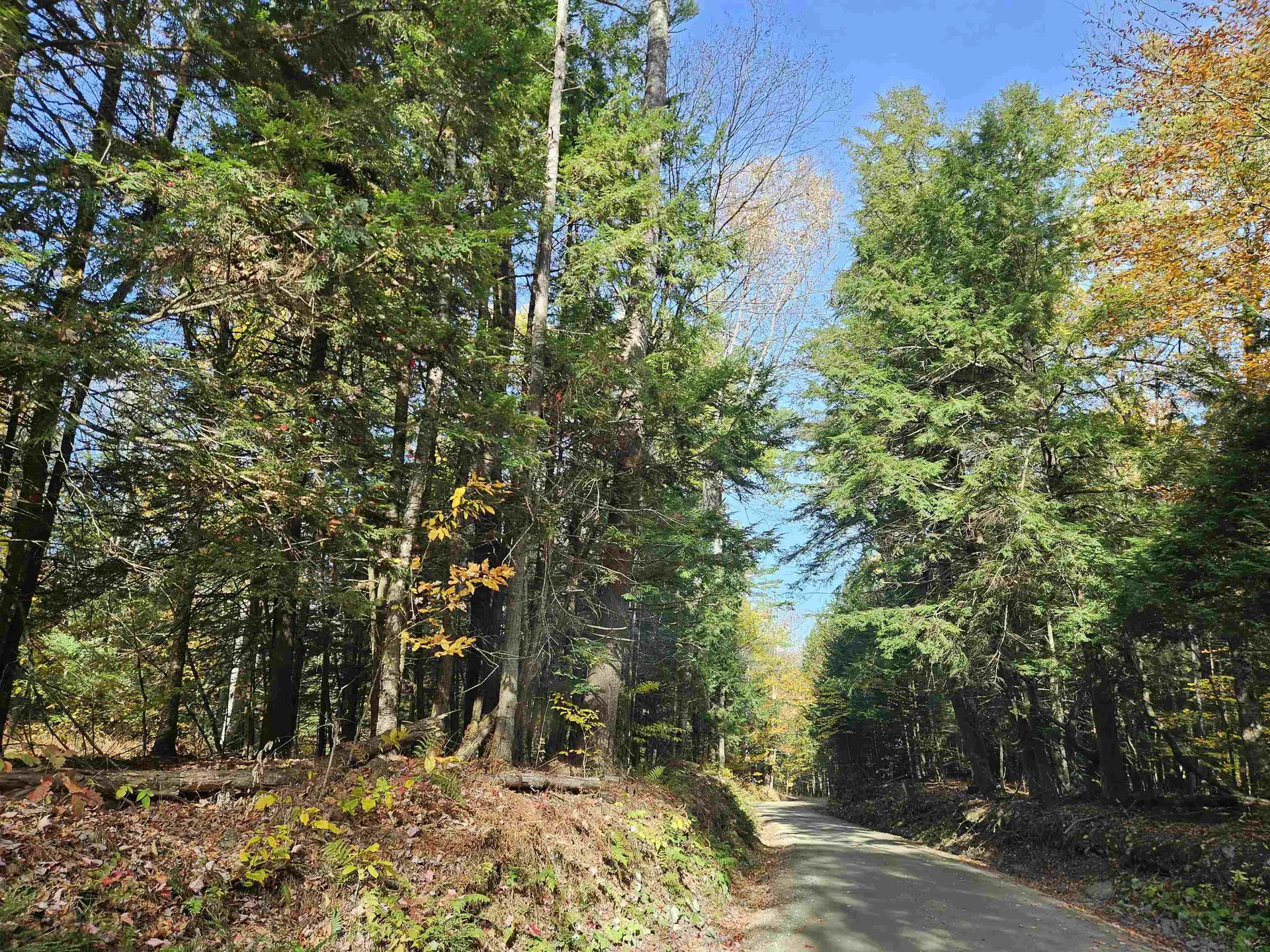 47 Highbridge Road Lyme NH 03768