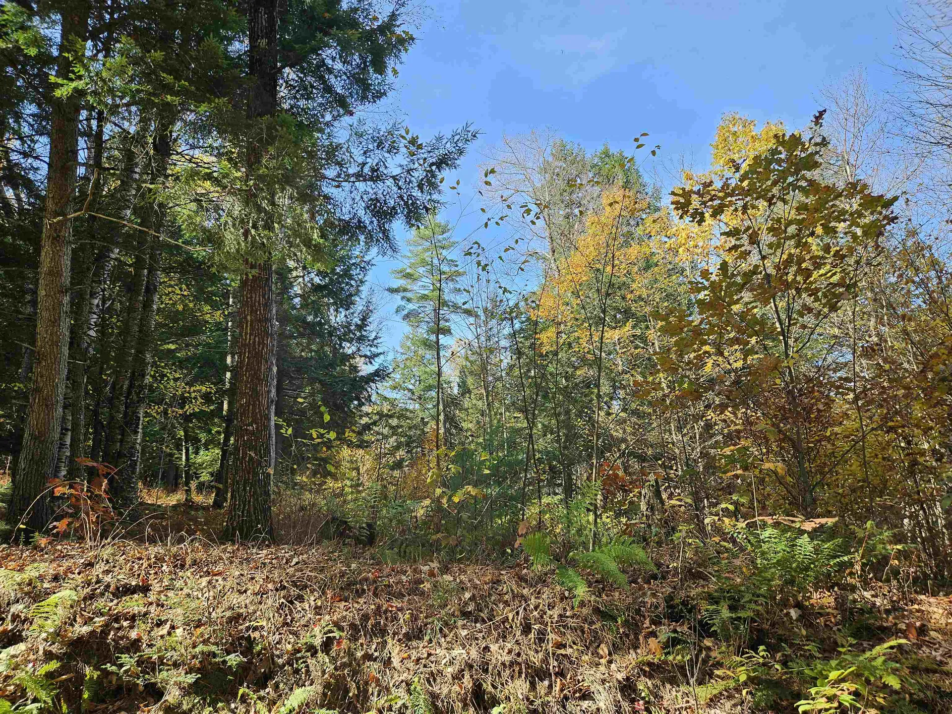 47 Highbridge Road Lyme NH 03768