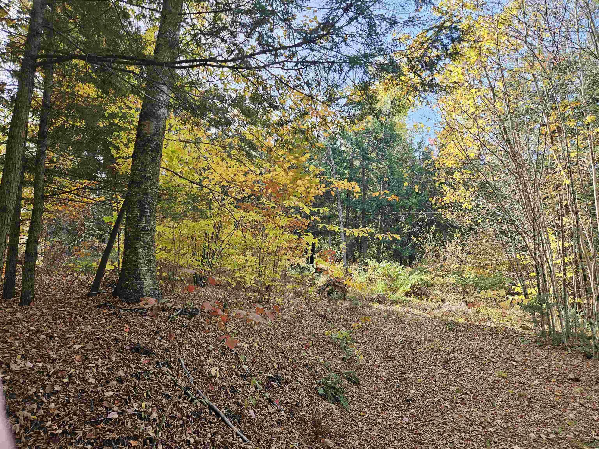 47 Highbridge Road Lyme NH 03768