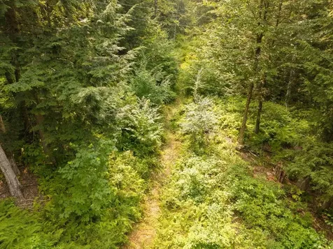 47 Highbridge Road Lyme NH 03768