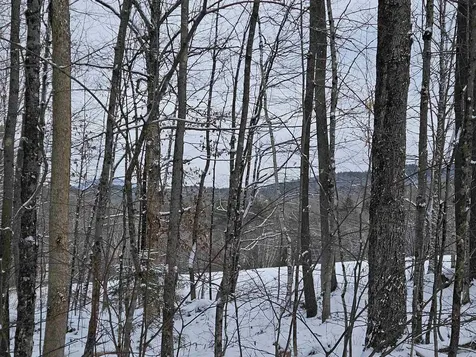 47 Highbridge Road Lyme NH 03768