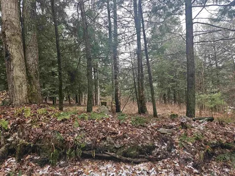 47 Highbridge Road Lyme NH 03768