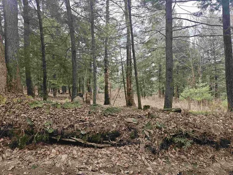 47 Highbridge Road Lyme NH 03768