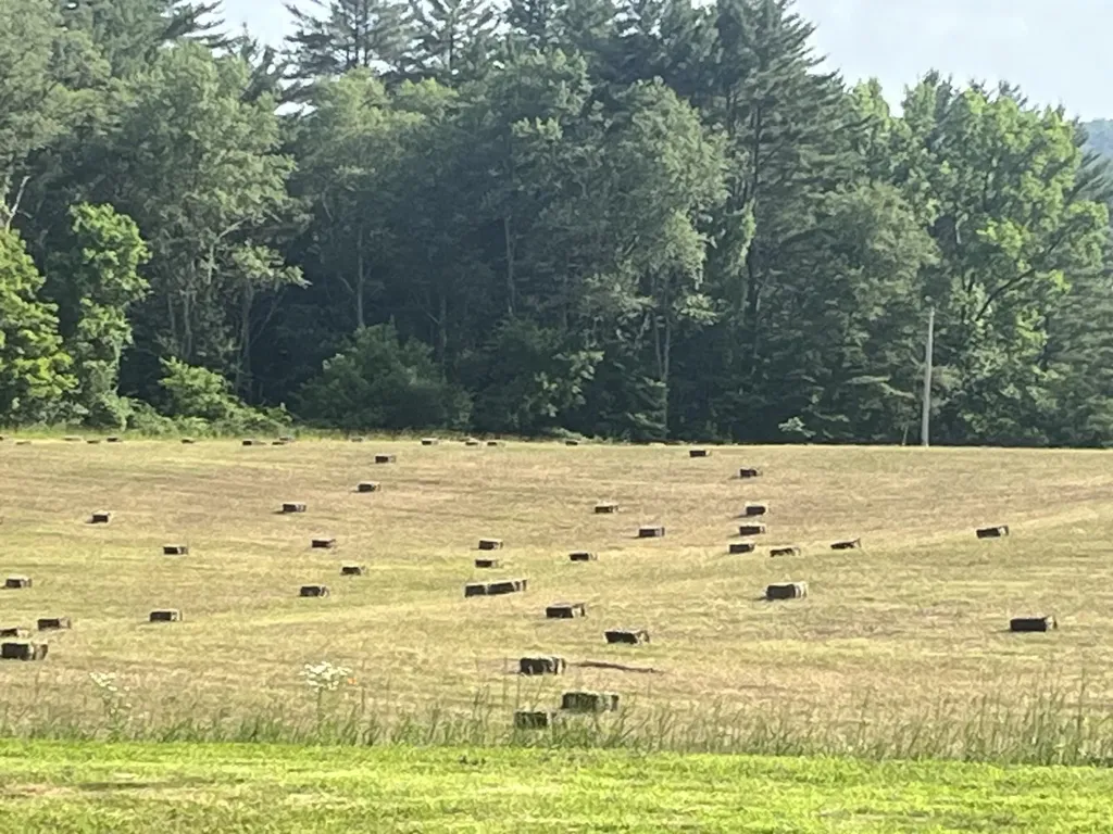 1123 River Road Westmoreland NH 03467