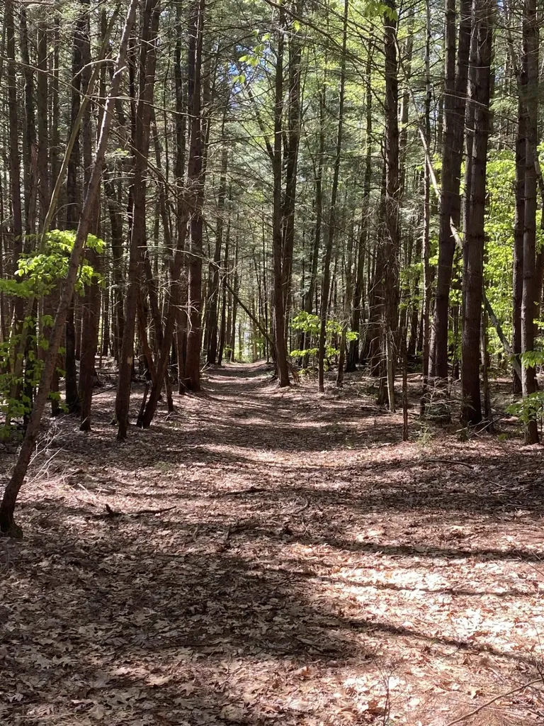 1123 River Road Westmoreland NH 03467