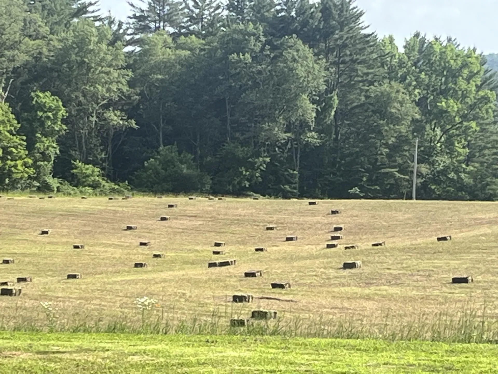 1123 River Road Westmoreland NH 03467