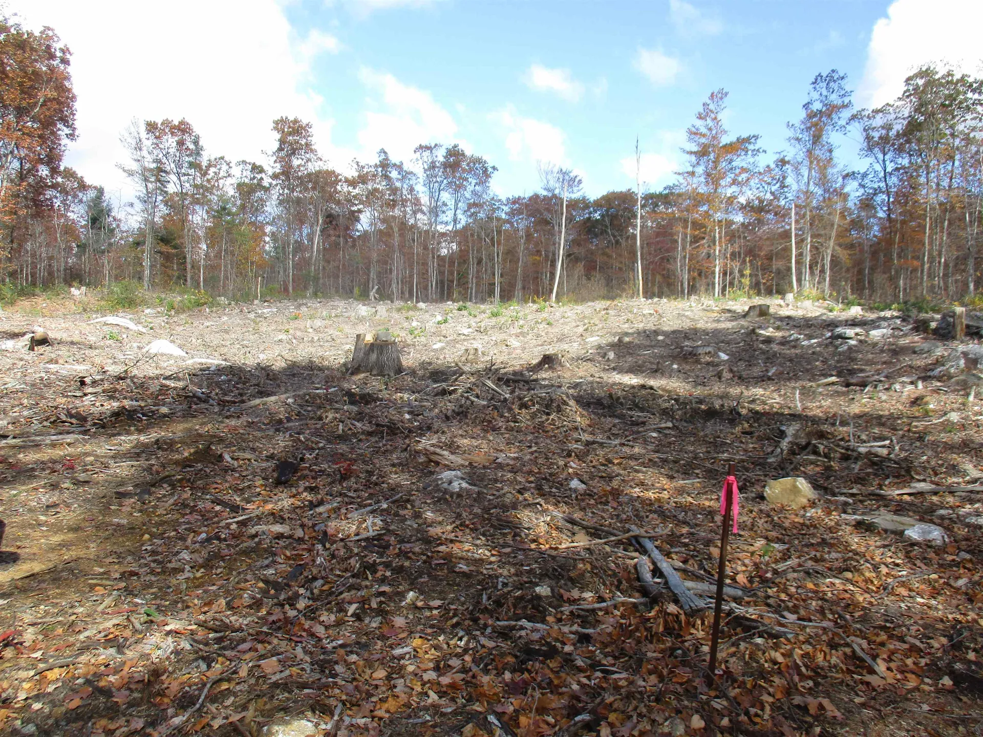 1-65-C Barrett Road Greenville NH 03048