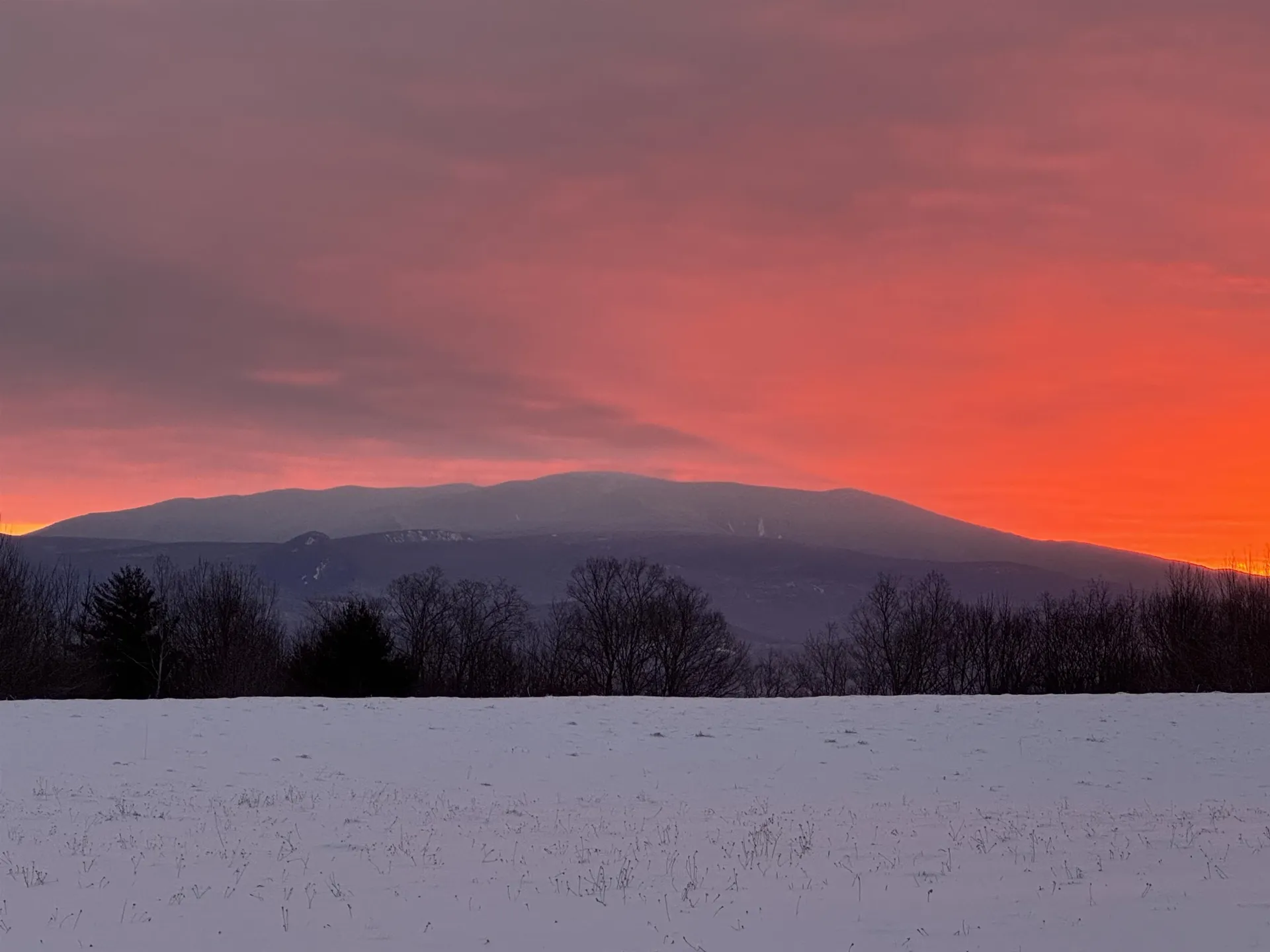 523 Brock Hill Road Newbury VT 05051