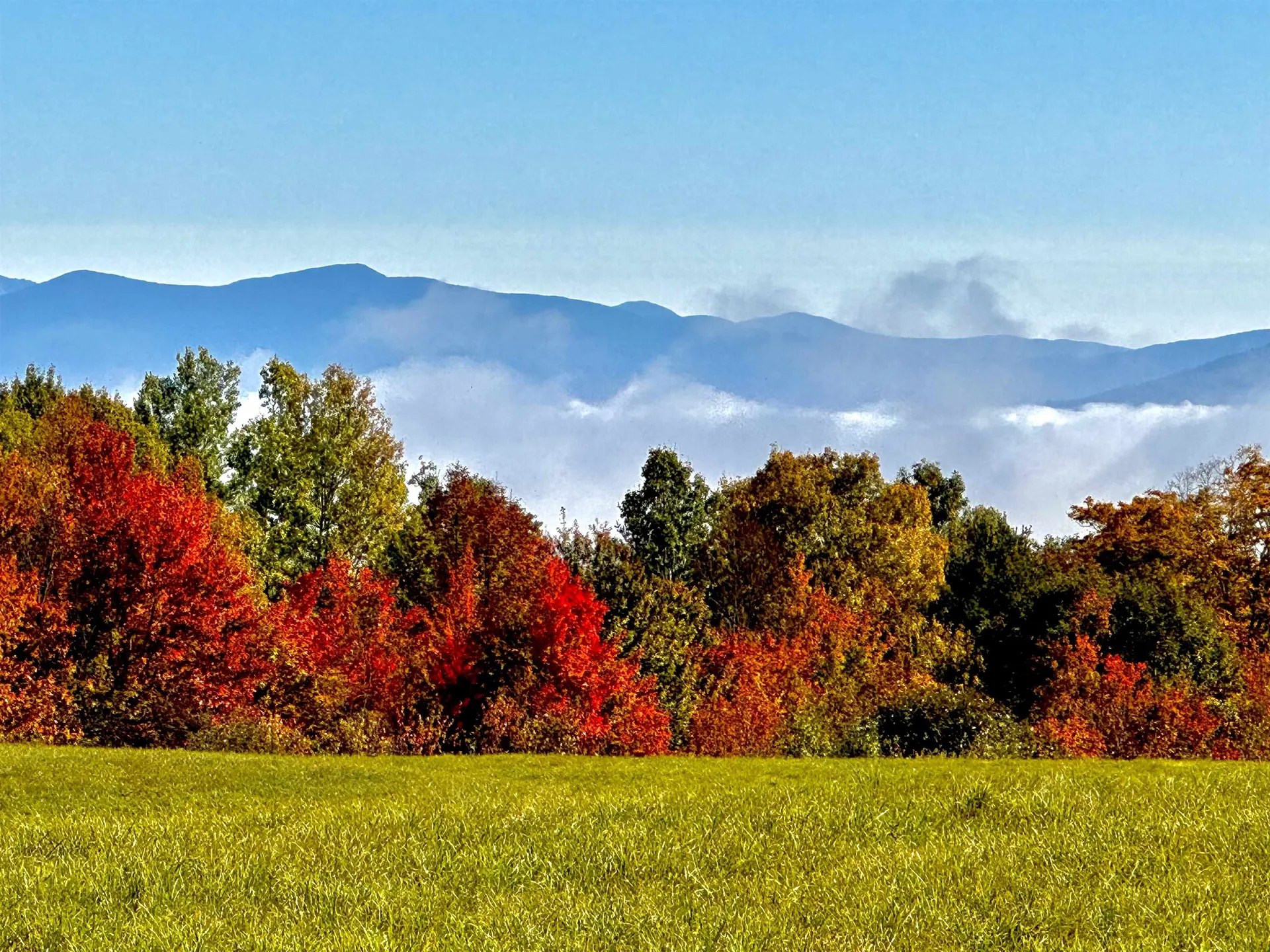 523 Brock Hill Road Newbury VT 05051