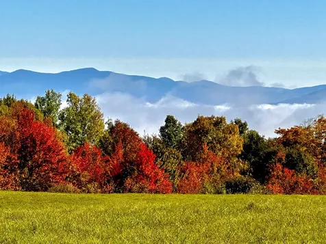 523 Brock Hill Road Newbury VT 05051