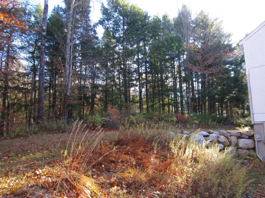 114 Ledgewood Terrace Bridgewater NH 03222