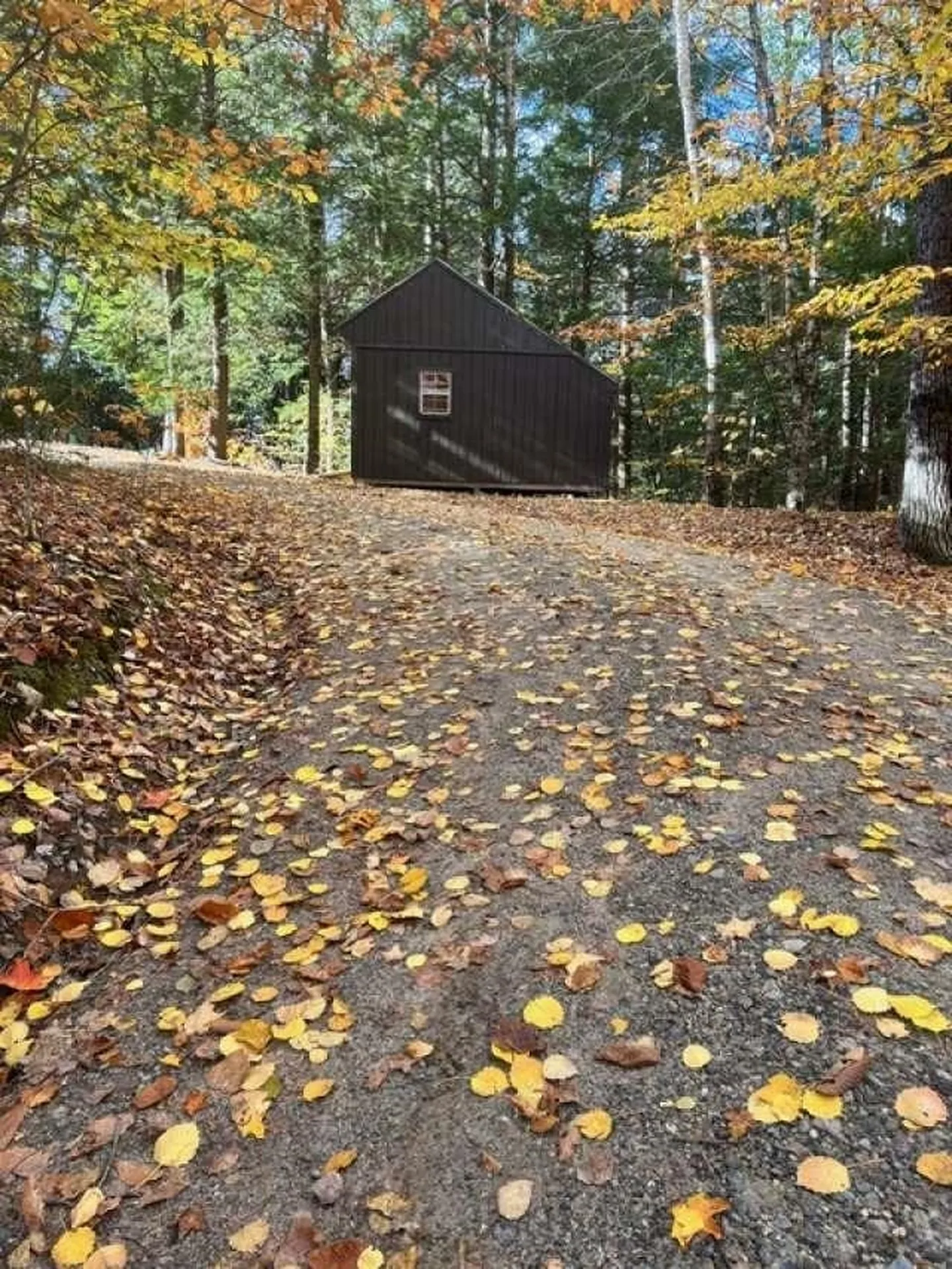 114 Ledgewood Terrace Bridgewater NH 03222