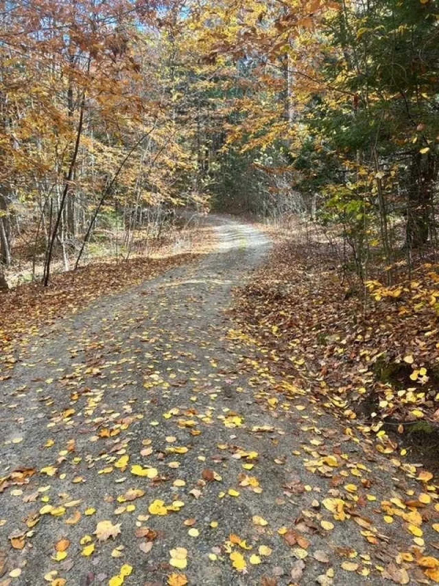 114 Ledgewood Terrace Bridgewater NH 03222