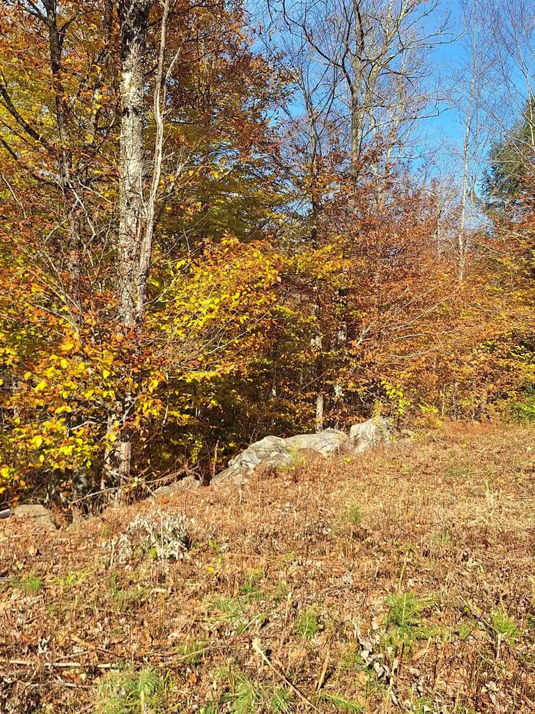 504 Elbow Road Killington VT 05751