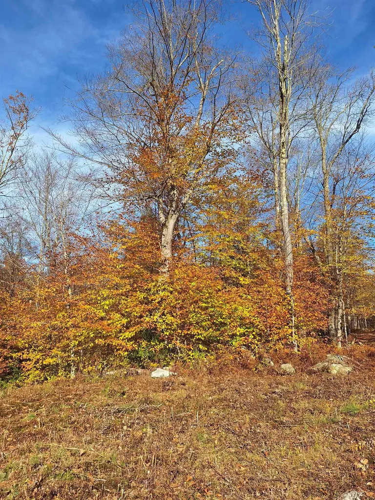 504 Elbow Road Killington VT 05751