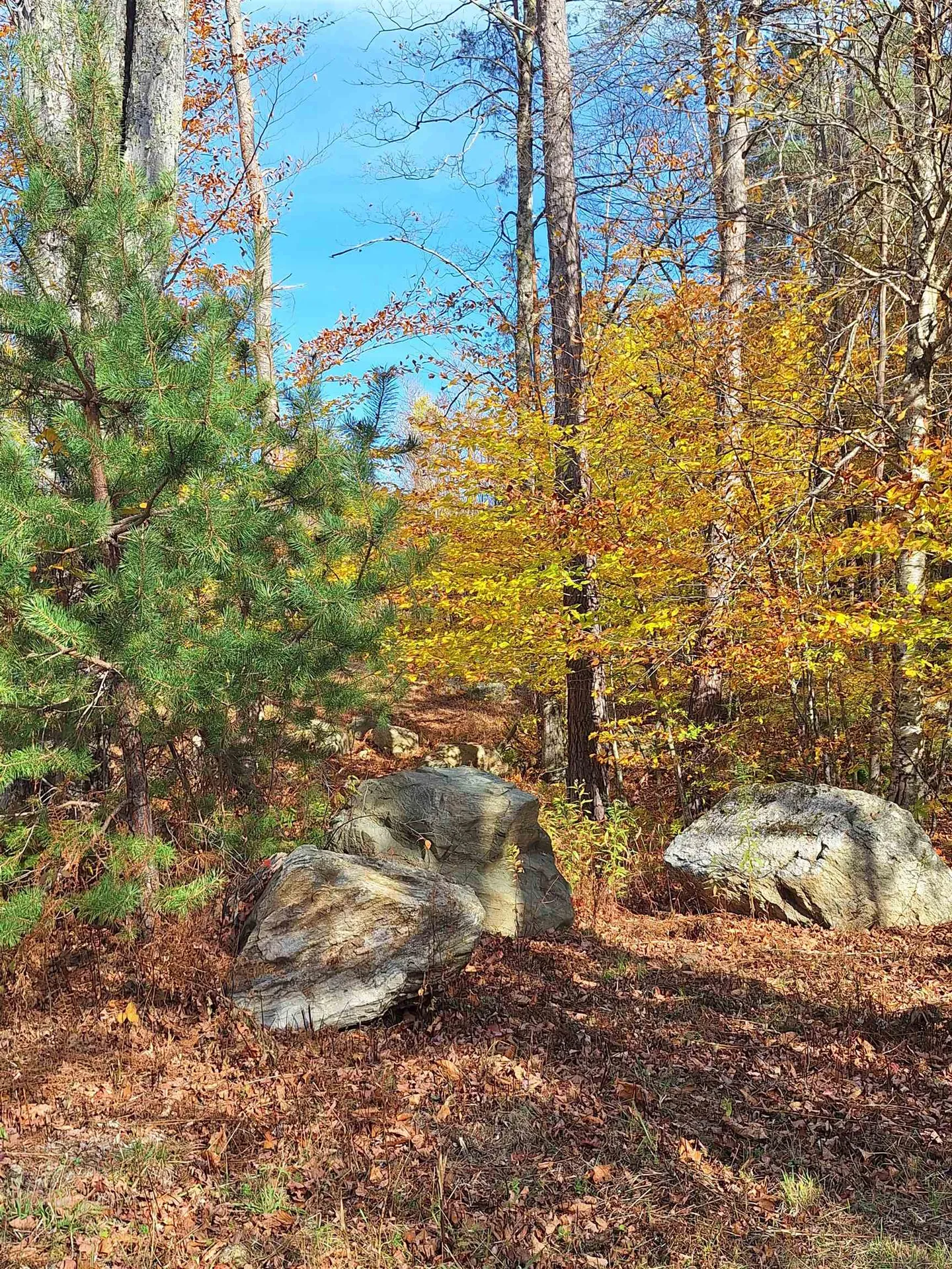 504 Elbow Road Killington VT 05751