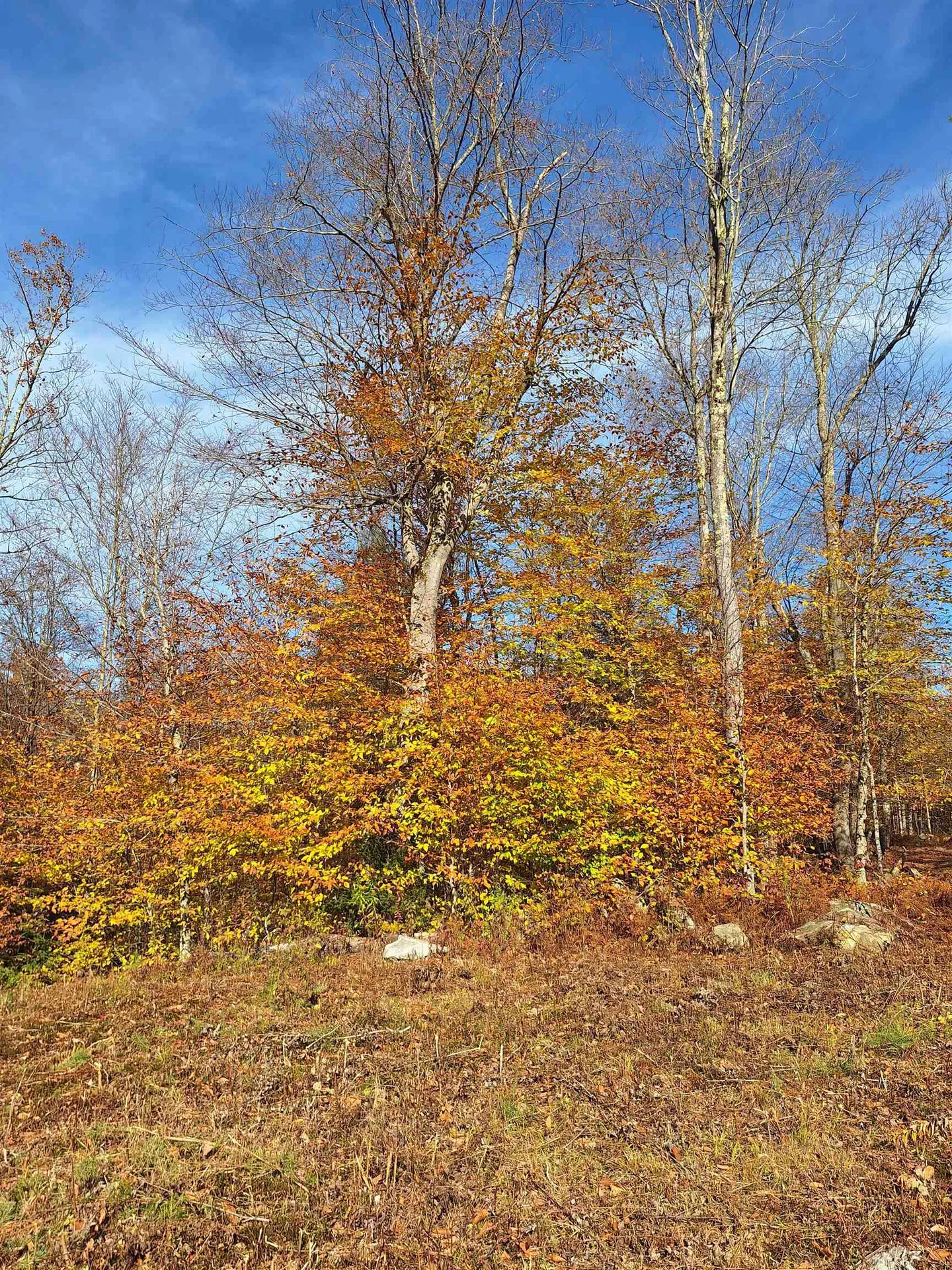 504 Elbow Road Killington VT 05751