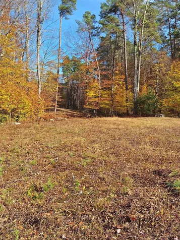 504 Elbow Road Killington VT 05751