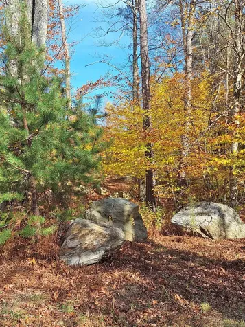 504 Elbow Road Killington VT 05751