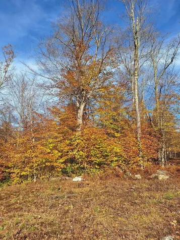 504 Elbow Road Killington VT 05751