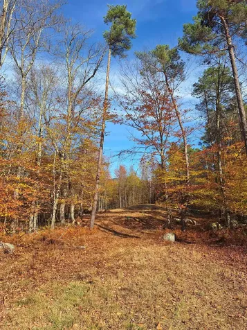 504 Elbow Road Killington VT 05751